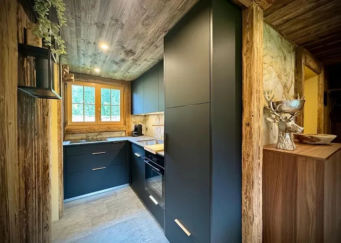 Monjeri, Modern Und Einzigartig Feriehus Kandersteg